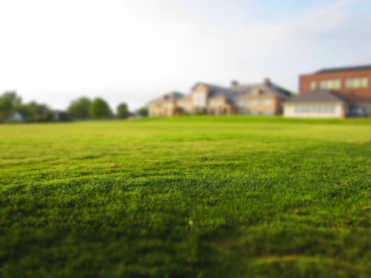 How to Build Trust With Homeowners Through Educational Content
